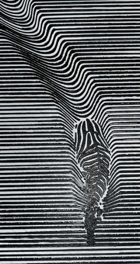 Optical Illusion Zebra Photo